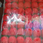 Happiness Ang Ku Kuehs