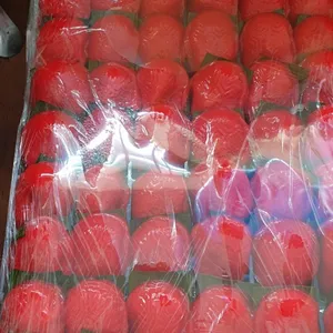 Happiness Ang Ku Kuehs