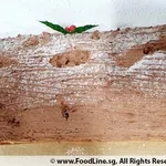 1kg Christmas Log Cake
