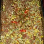 Hong Kong Fried Brown Rice Bee Hoon 香港糙米粉