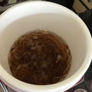 Sea Coconut w/ Sago • 海底椰西米露(Chef's Recommended)
