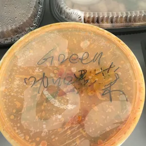 Curry Vegetable •咖哩什菜