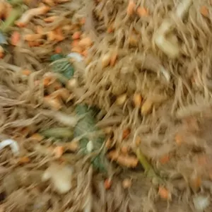 Vegetarian Fried Bee Hoon