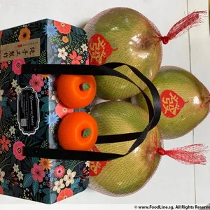 1x Cny Gift set : Signature double chocolate cookies @$22 (Packaging Style: Packing :Floral box)