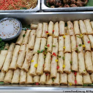 Vegetable Spring Roll (V)