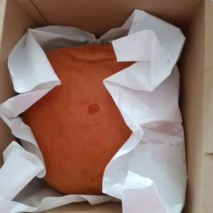 1x Golden Pillow Curry Fish Bun @$14.8