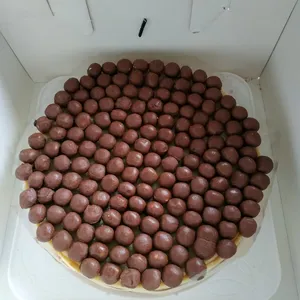 1x Horlicks with Maltesers @$65 (Size: 1KG) (Flavours: Horlicks with Maltesers)