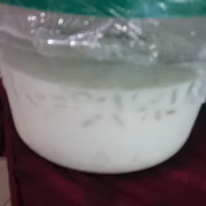 Honeydew Sago