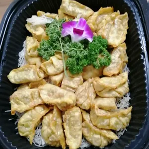 Mushroom Gyoza with Vinegar Dip