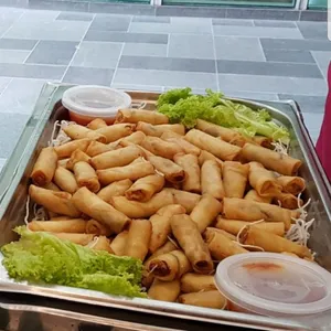 Vegetable Spring Roll