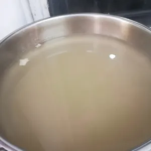 Barley Bean Curd With Gingko Nuts