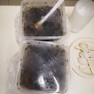 Chilled Grass Jelly with Longan