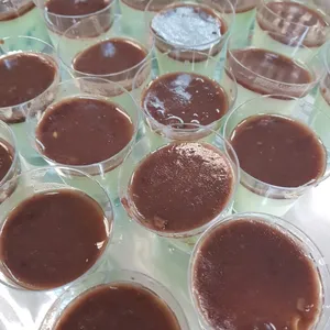 Nonya Red Bean Chendol Pana Cotta with Gula Malaka