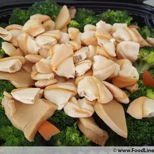 Broccoli Pacific Clam & Fatty Choy 发财鲍贝西兰花