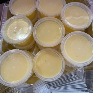 Mango Pudding