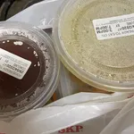 5 Days Tingkat Trial Package