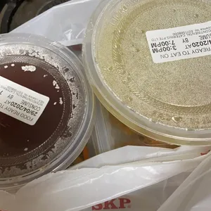 5 Days Tingkat Trial Package