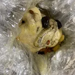 Double Boiled Herbal Chicken in Wrap