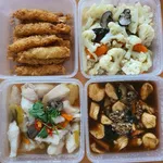 20 days Trial Package