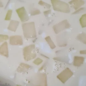 Honeydew Sago