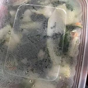 Dinner Tingkat (20 Days, 3 Dishes + Soup OR 4 Dishes)