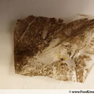 Tingkat Menu (20 Days) in Microwavable Container