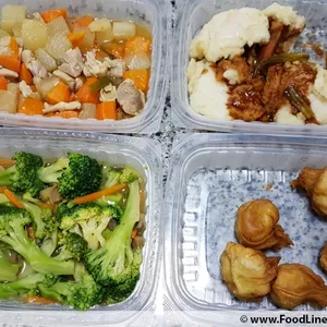 Lunch Tingkat (20 Days, 3 Dishes + Soup OR 4 Dishes)