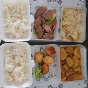 14 Days Lunch Tingkat Package  (Incl. Weekends)