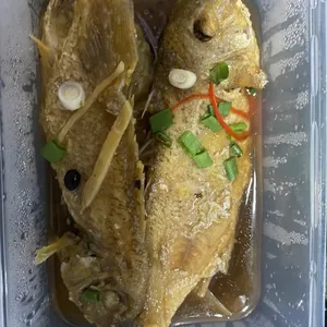 20 days Tingkat Package