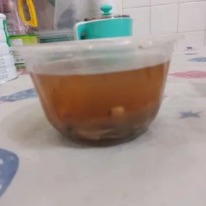 Tingkat Menu (20 Days) in Microwavable Container