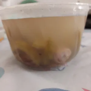 Tingkat Menu (20 Days) in Microwavable Container