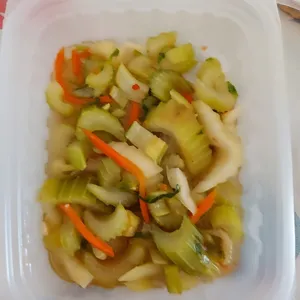 Tingkat Menu (20 Days) in Microwavable Container