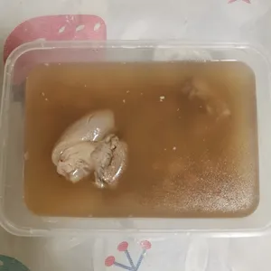 5 Days Tingkat Trial (3 Dishes + 1 Soup)