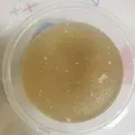 Tingkat Menu (10 Days Trial)