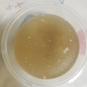 Tingkat Menu (10 Days Trial)