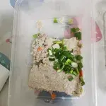 Tingkat Menu (10 Days Trial)