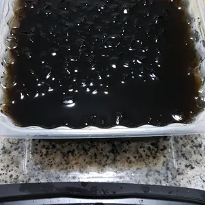 Chin Chow w Longan