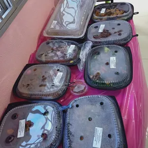 Other Food Items or Photos of Event (Please fill in below)