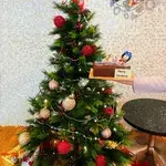TCCS03 Sleigh Joy