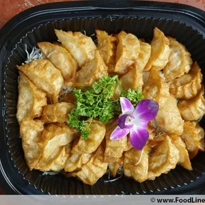 Mushroom Gyoza with Vinegar Dip
