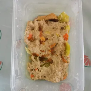 Tingkat Menu (20 Days) in Microwavable Container