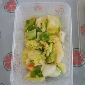 Tingkat Menu (20 Days) in Microwavable Container