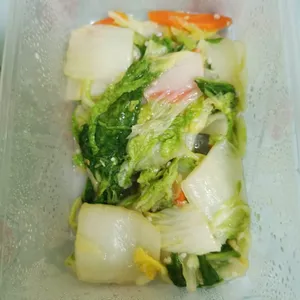 Tingkat Menu (20 Days) in Microwavable Container