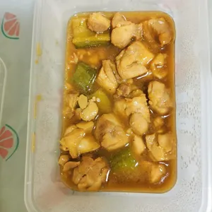 Tingkat Menu (20 Days) in Microwavable Container