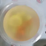 Tingkat Menu (20 Days) in Microwavable Container