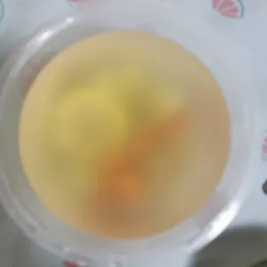 Tingkat Menu (20 Days) in Microwavable Container