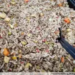 Fragrant Olive Fried Rice