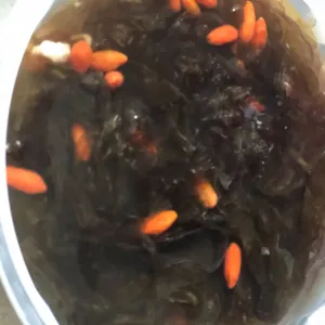 Tingkat - 3 Dishes + 1 soup/ 4 Dishes  (20 days)