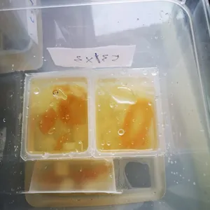 Chilled Sea Coconut with Aloe Vera & Nata de Coco 芦荟雪耳椰果海底椰