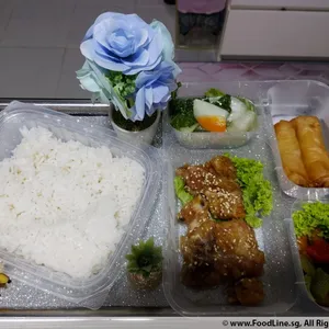10 Days DINNER Package (Single Meal)